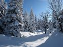 2010-01-31, Altenberg (5)
